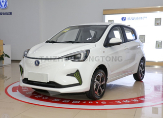 Changan E-Star Premium Version