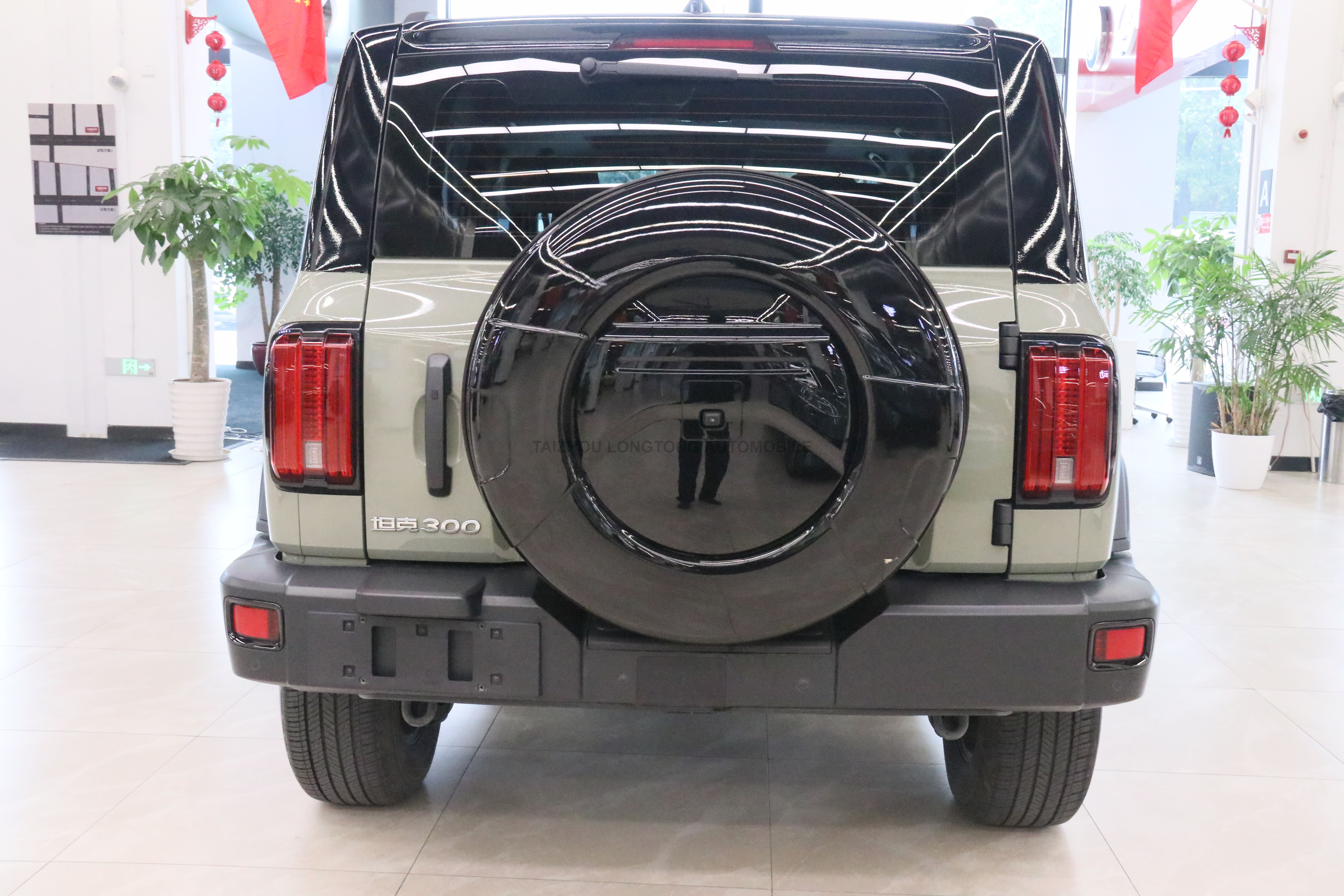 Used Tank300 2021 Off-road 2.0T Conqueror